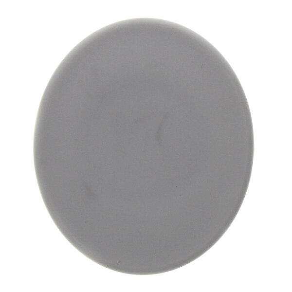A gray Globe X10007 plug with a white circle and black center.