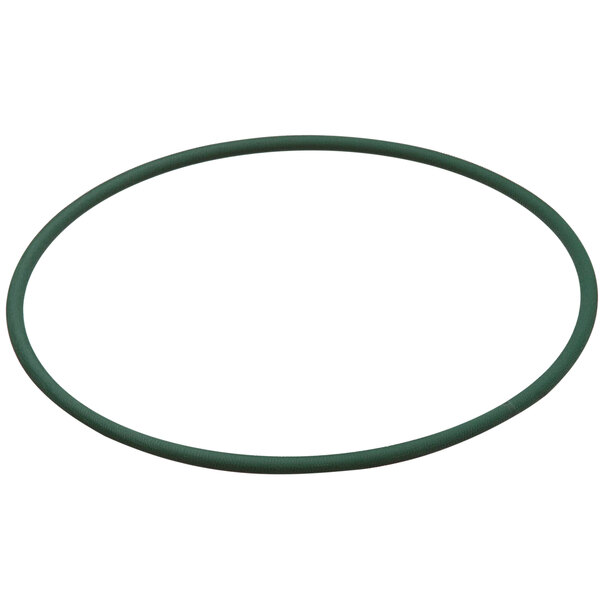 A green rubber o ring in a circle.