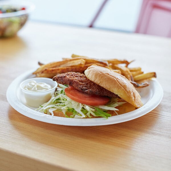 A white Eco-Products compostable plate with a hamburger, fries, and salad on it.