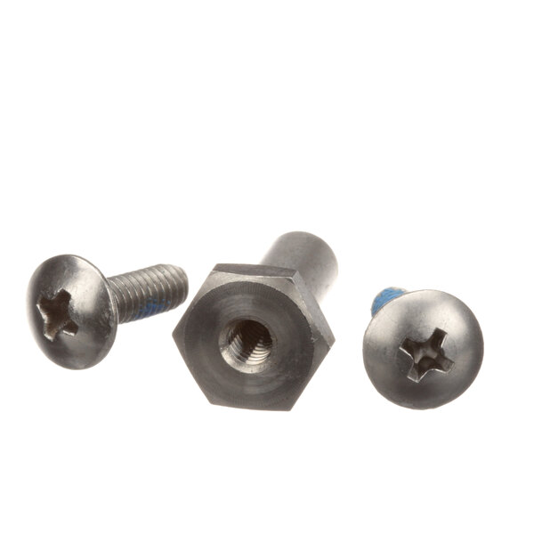 A close-up of two screws and nuts.