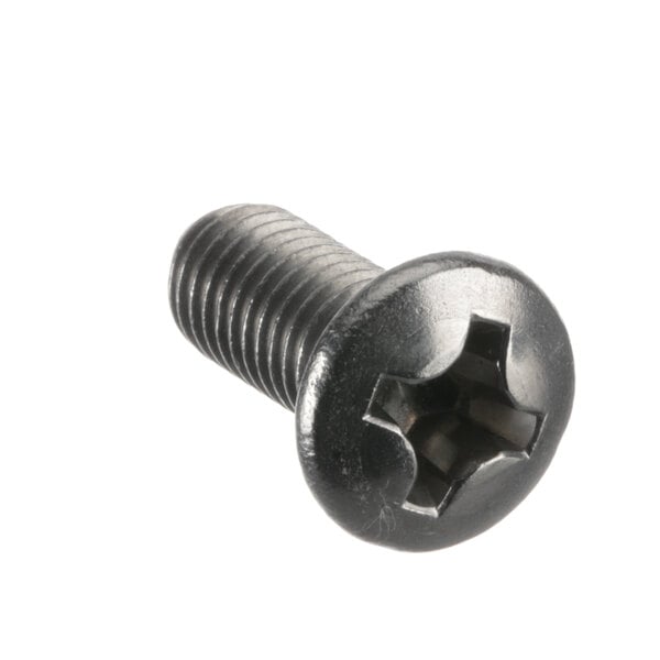 A close-up of a Stephan 2257 raised pin screw with a black head.