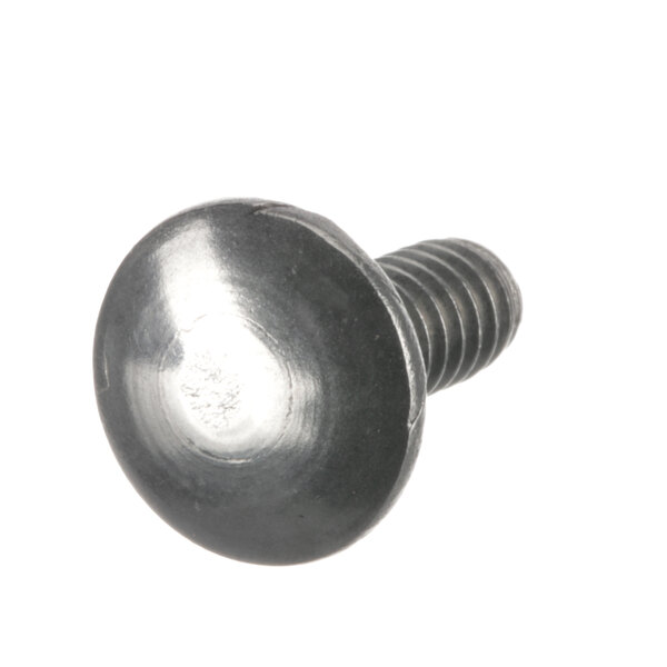 A close-up of a black metal Champion carriage bolt.