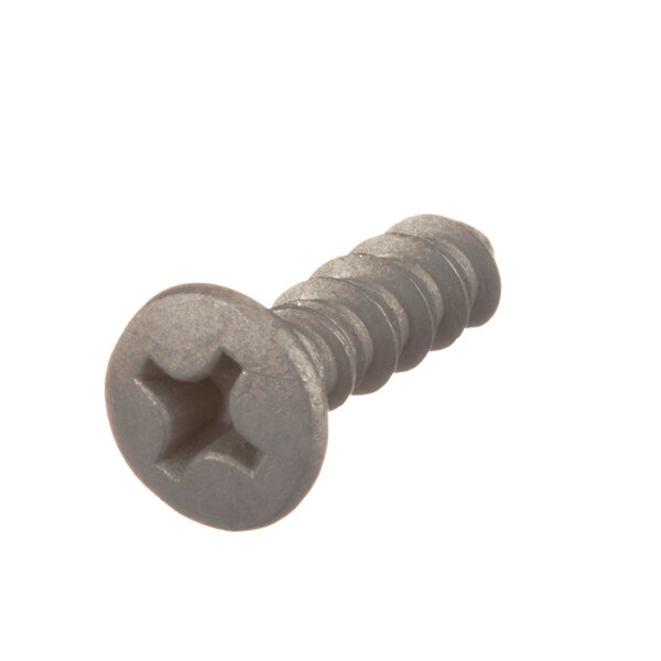 A close-up of a Norlake screw for hinges.