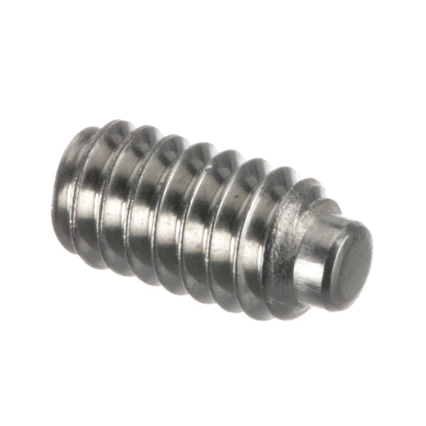 A close-up of a Moyer Diebel Dog-Point Screw with a metal head.