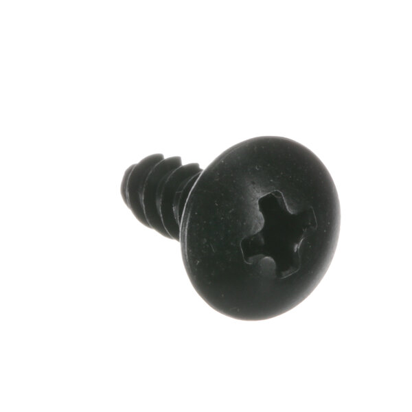 A close-up of a black TurboChef screw with a cross.