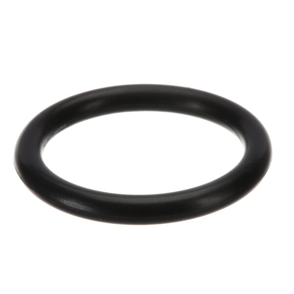A black round Ice-O-Matic O-Ring.