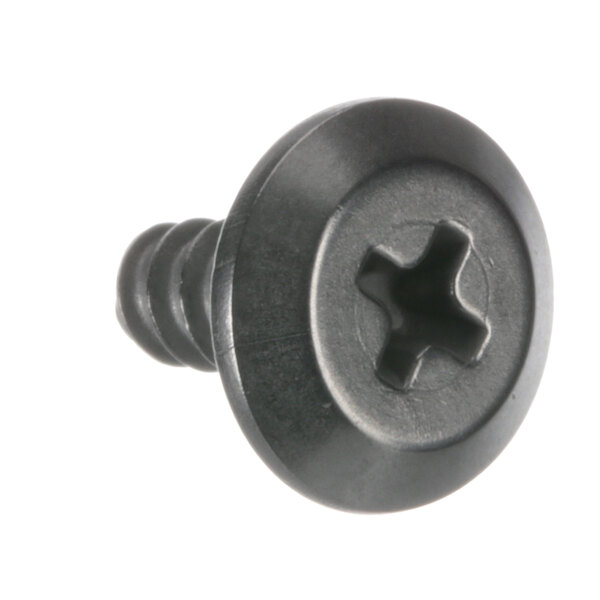 A close-up of a black TurboChef screw with a cross.
