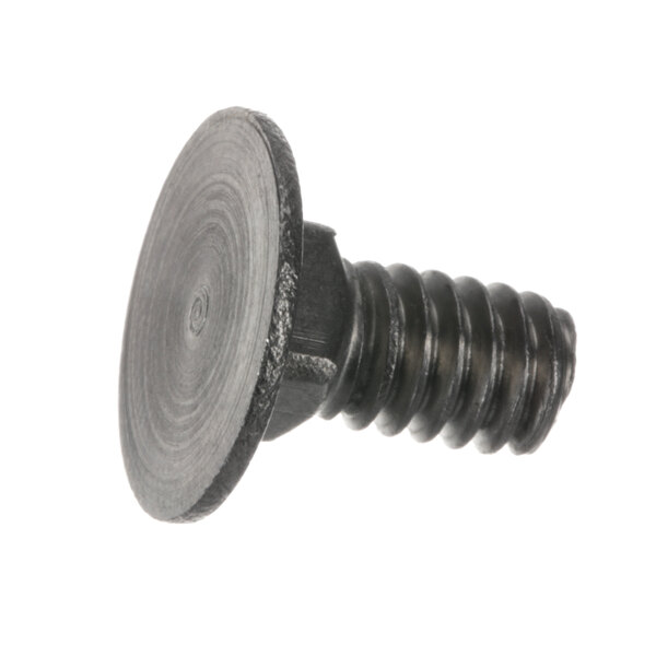 A close-up of a Berkel black bolt with a circular head.