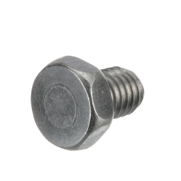 An Edlund stainless steel hex screw with a white background.