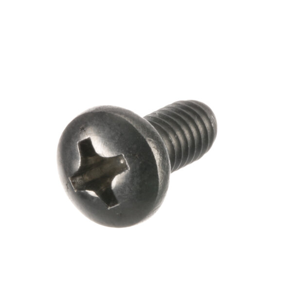 A close-up of a ProLuxe high temp limiter screw with a black head.