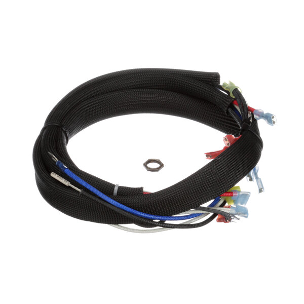 A black wire harness with wires and connectors.
