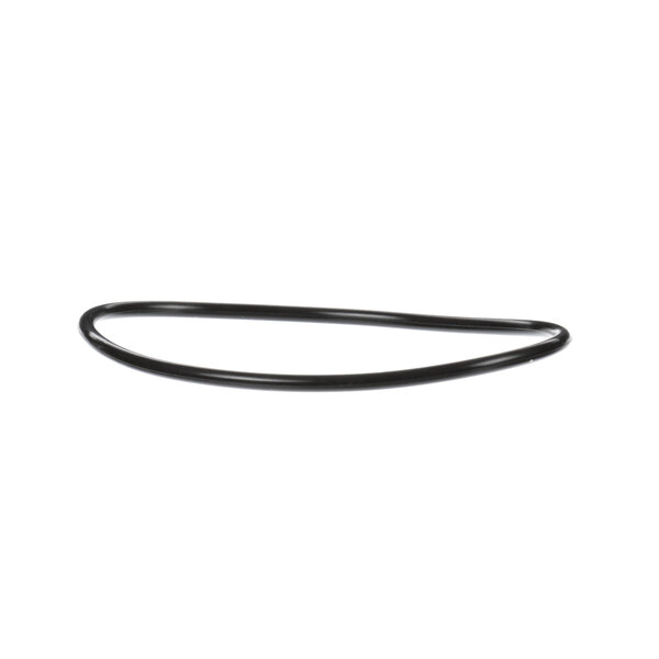 A black rubber Everpure O-ring on a white background.