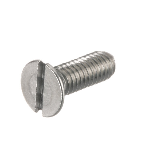 A close-up of a Bizerba screw with a flat head.