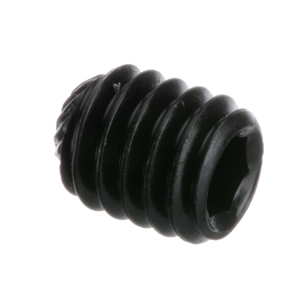 A close-up of a black ProLuxe SST5161838KN set screw.