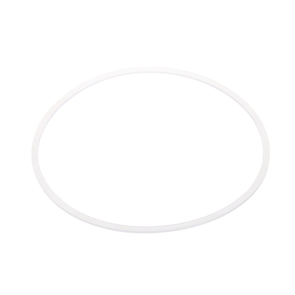 A white rubber ring with a white background.