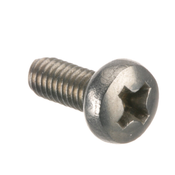 A close-up of an Alto-Shaam screw with a metal head.