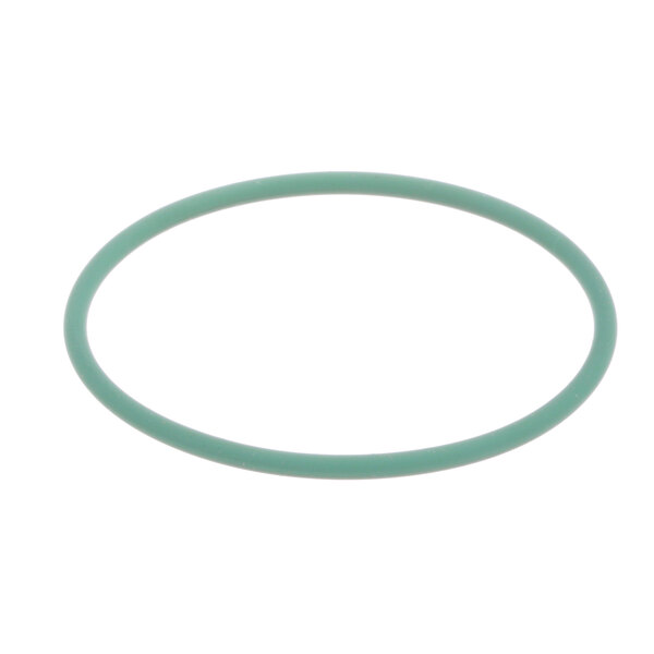 A green rubber Franke O-Ring on a white background.