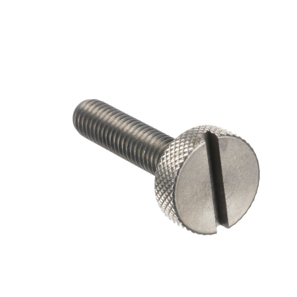 A Traulsen screw with a metal head.
