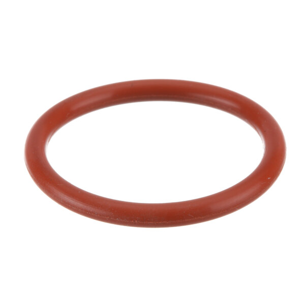 An orange rubber O-ring.