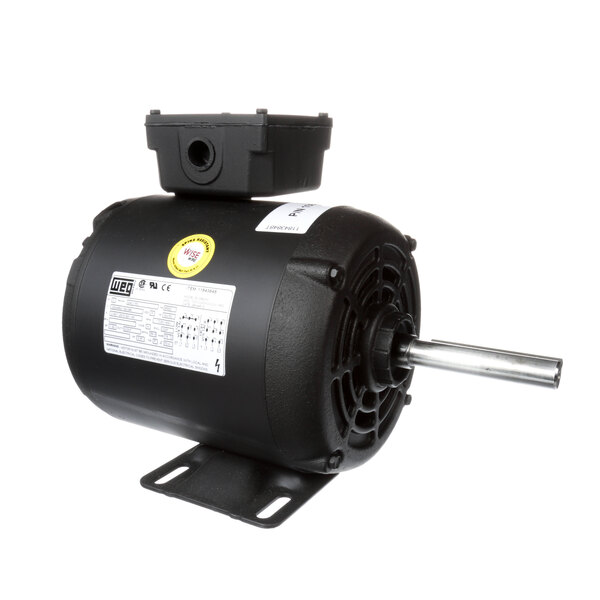 A black electric motor with a metal pole.