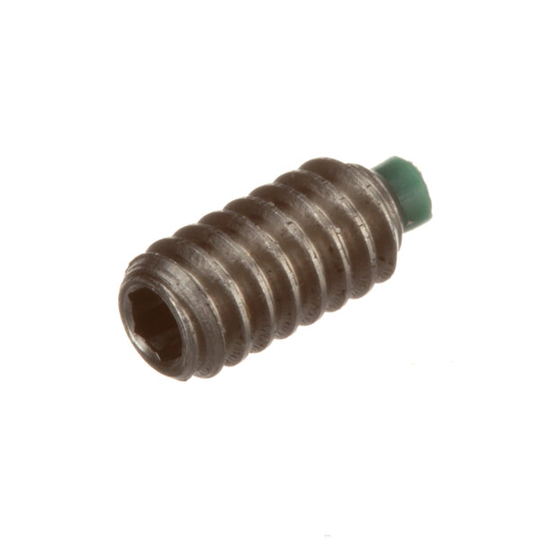 A close-up of a Globe nylon tip set screw with a green plastic tip.