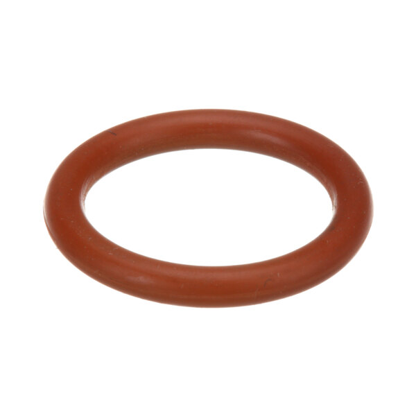 An orange rubber O-ring.