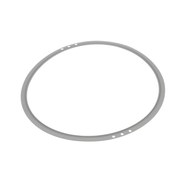 A white circular gasket with a hole in it.