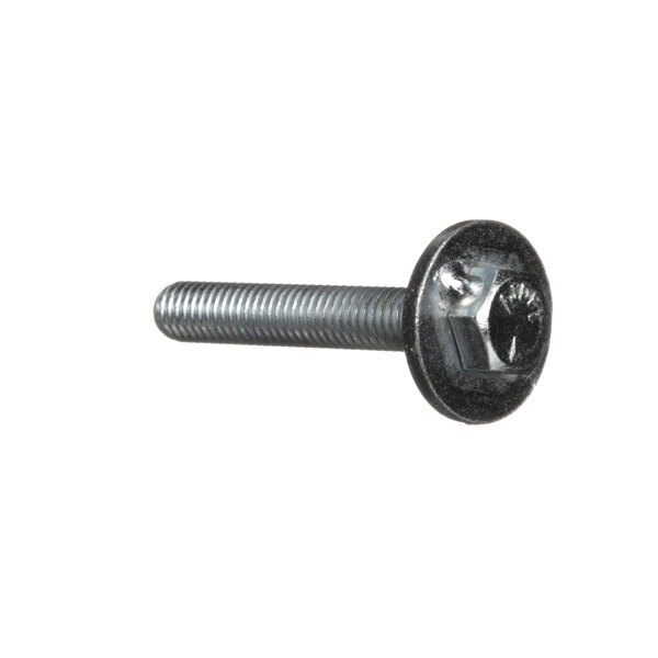 The metal screw with a metal head.