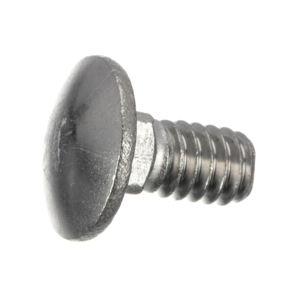 A close-up of a stainless steel Champion Carr bolt with a round head.