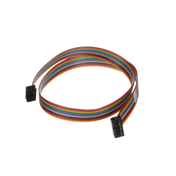 A close-up of a multicolored Hoshizaki ribbon cable with a black connector.