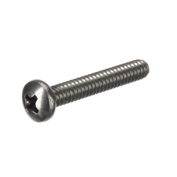 A close-up of an Intek stainless steel screw with a Phillips head.