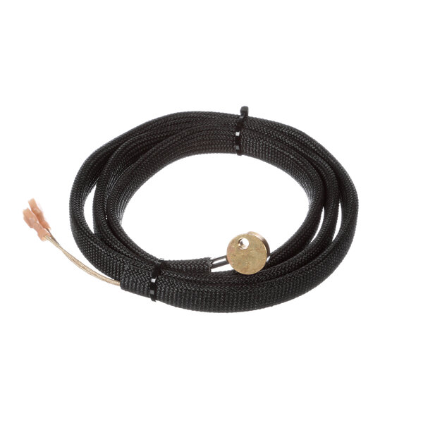 A black wire harness with a gold button.