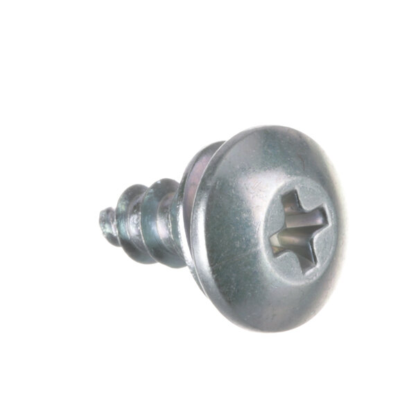 A close-up of a Grindmaster-Cecilware head screw with a hole in it.