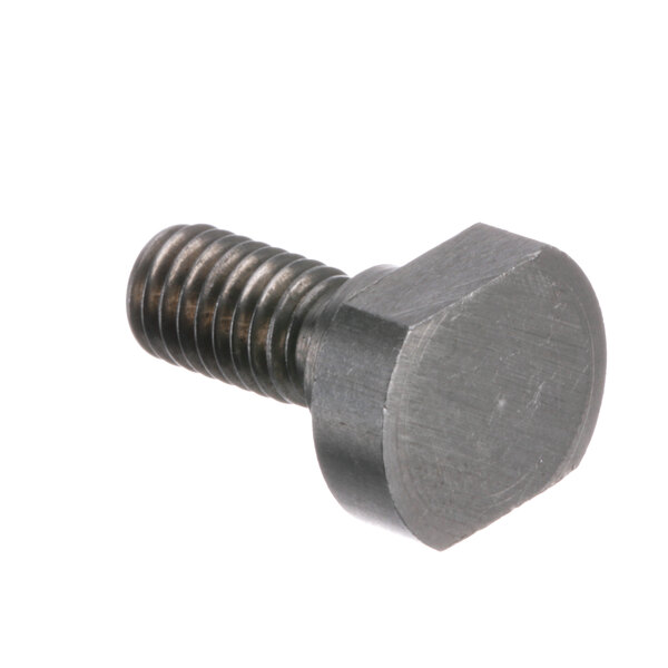 A close-up of a metal screw with a hex head.