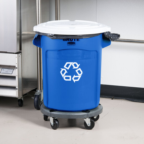 A blue Rubbermaid BRUTE recycling bin with white lid and wheels.