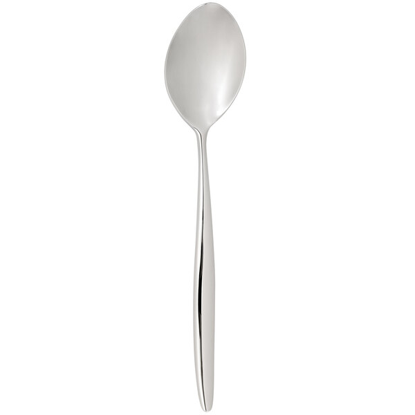 A silver Chef & Sommelier Finn teaspoon with a long handle.