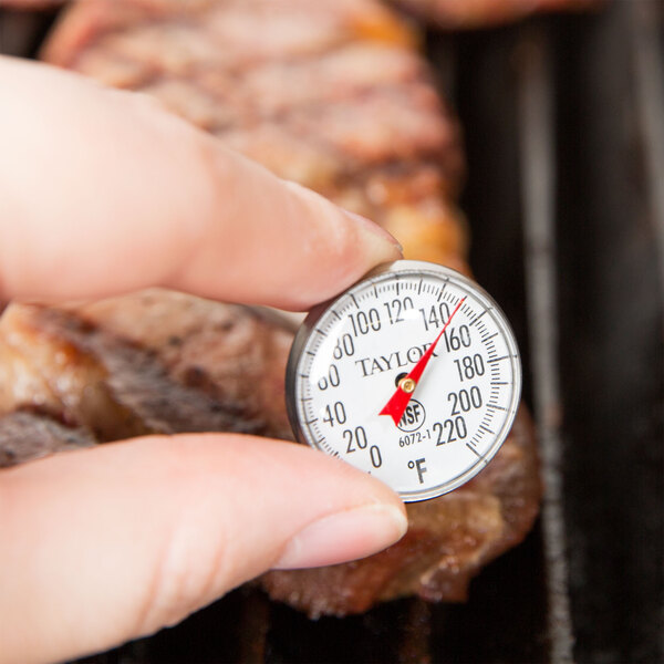 A person holding a Taylor 5" pocket probe thermometer on a grill.