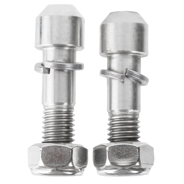A pair of stainless steel nuts and bolts.