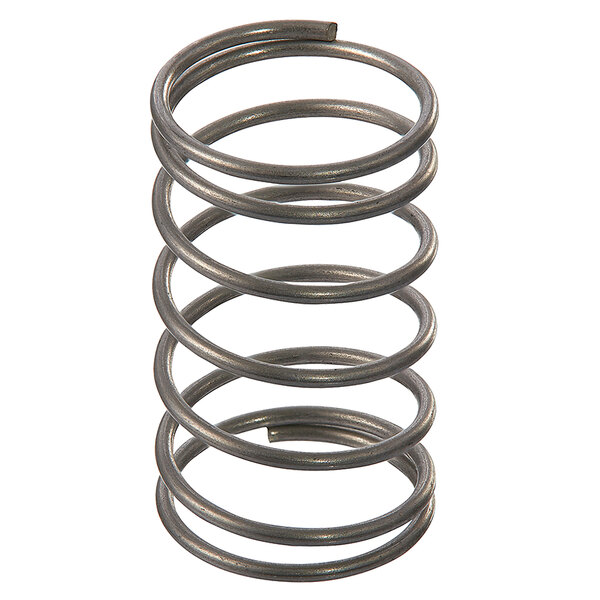 A close-up of a Fisher Check Valve Spring with a black metal coil on a white background.