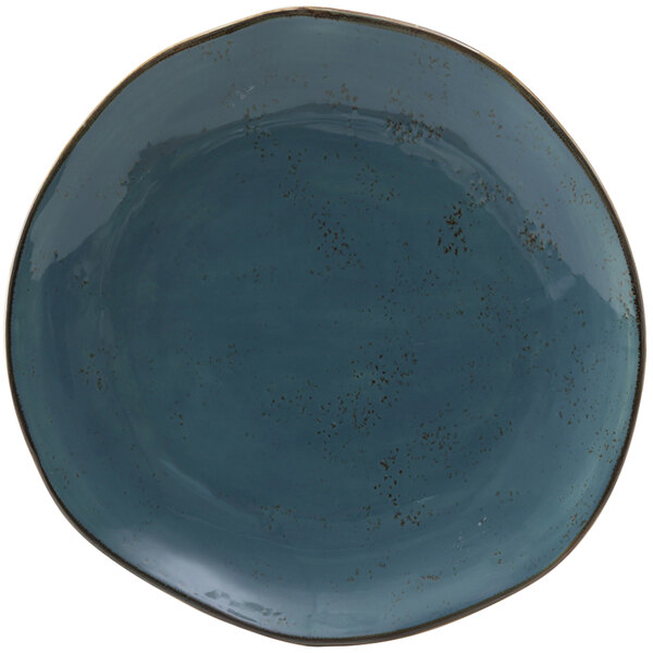 A white china plate with a blue surface and brown specks.