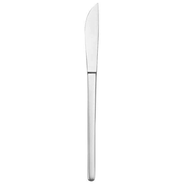 A Oneida Apex stainless steel steak knife with a silver handle.