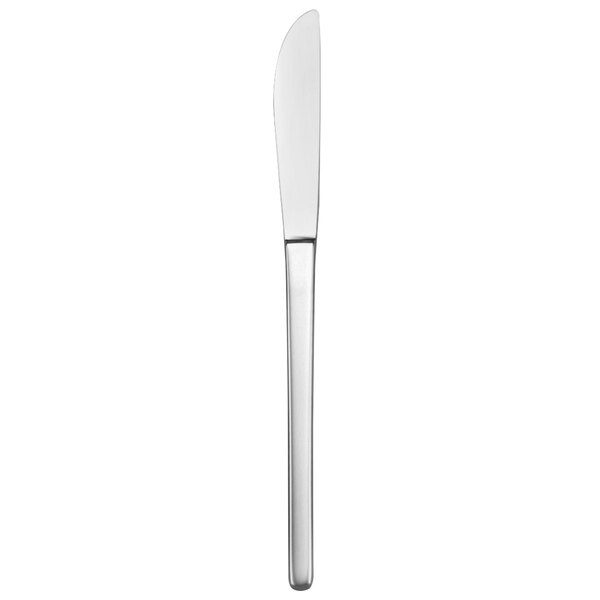 A Oneida Apex stainless steel dinner knife with a silver handle.
