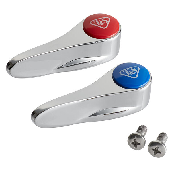 A pair of metal T&S faucet lever handles with red and blue buttons.