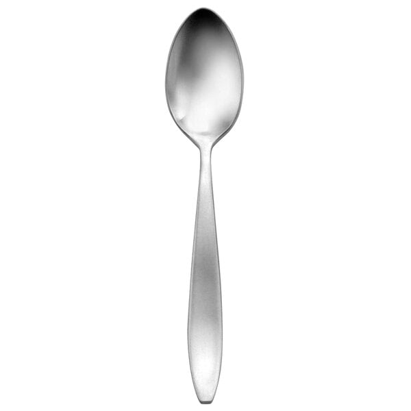 An Oneida Sestina stainless steel spoon with an oval bowl and a silver handle.