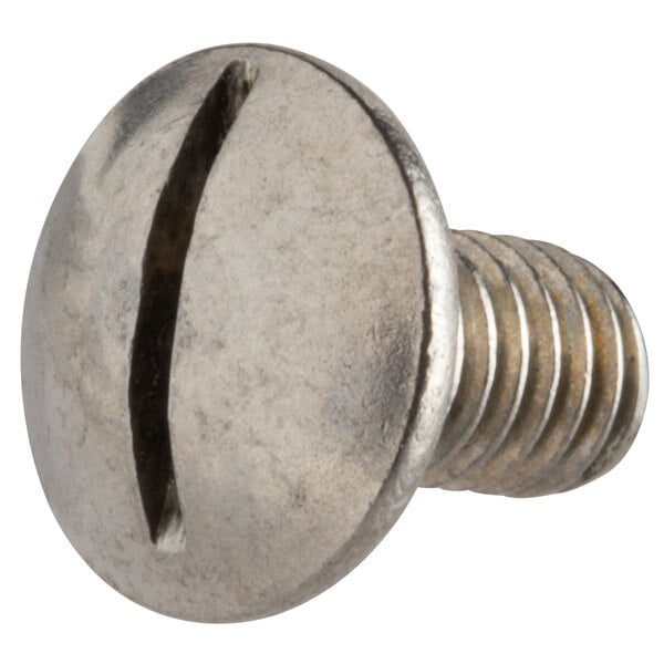 A close-up of a metal screw with a white background.