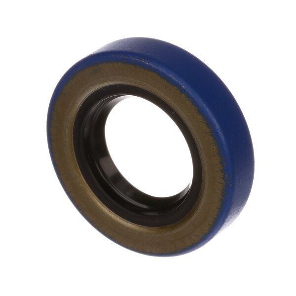 A close-up of a blue and black circular rubber seal.