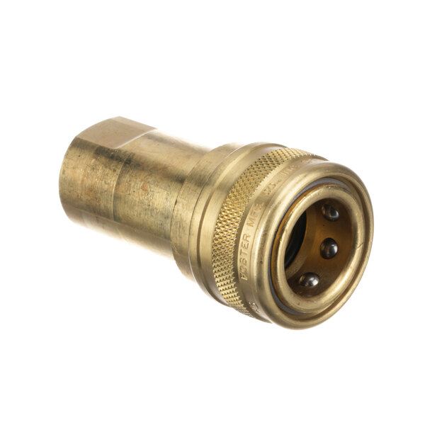 A brass threaded Quick Connect hose fitting with a nut.