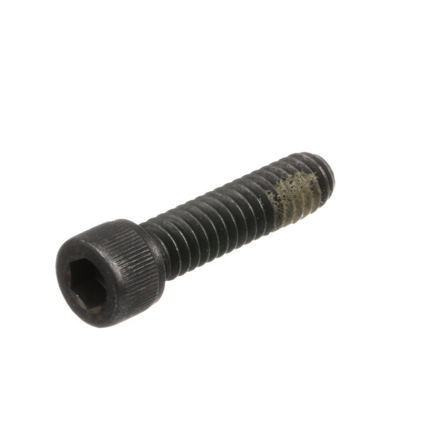 A close-up of a Donper America socket cap screw.