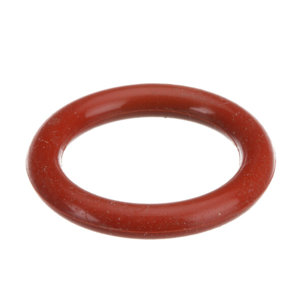 A red rubber o ring with a round shape on a white background.