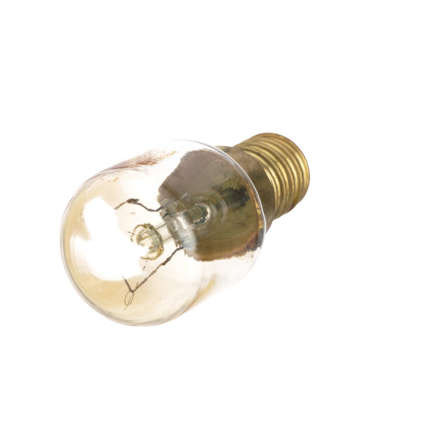 An Anvil America XCOA1041 light bulb with a small bulb on top on a white background.